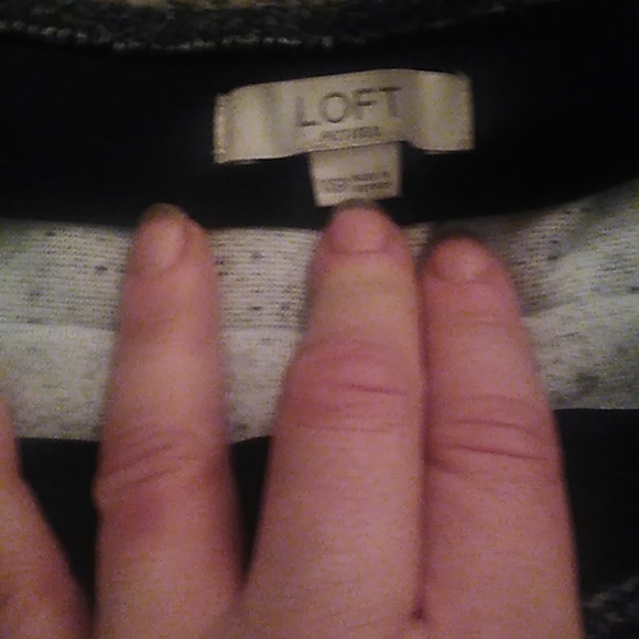 Ann Taylor Loft winter skirt - Picture 2 of 2